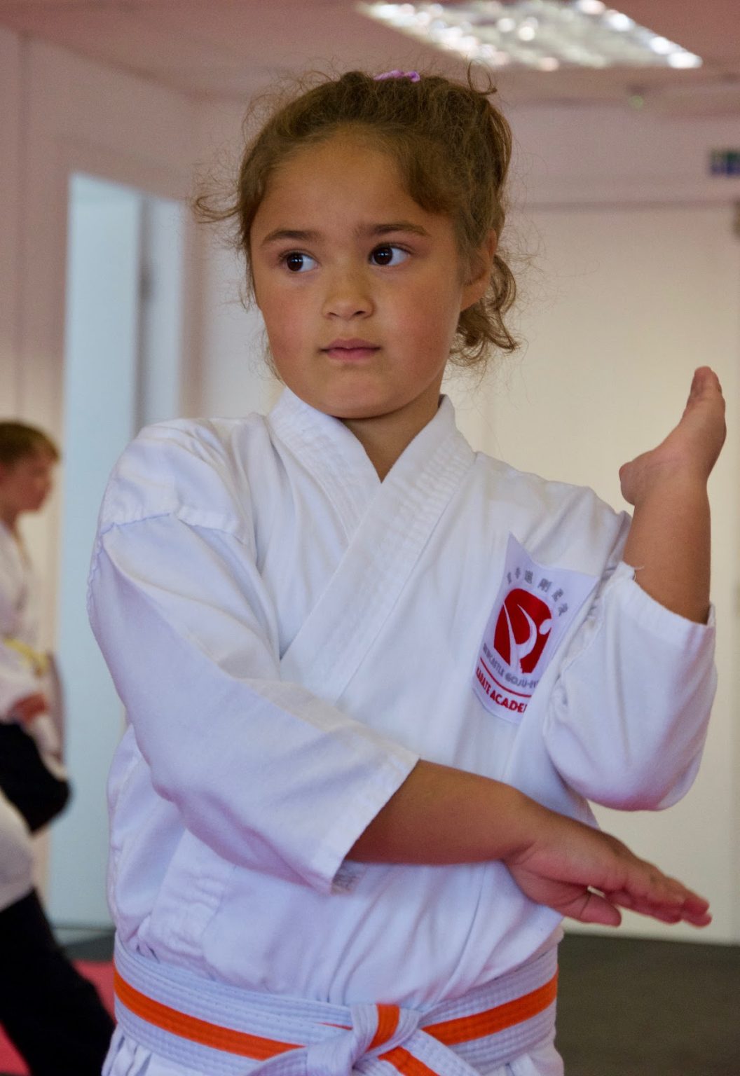 Newcastle Goju-Ryu Karate Academy instructors and students